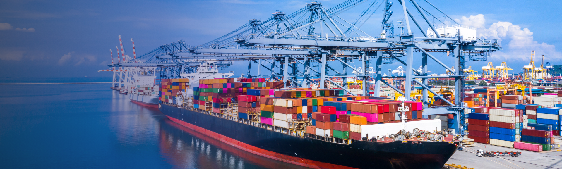 Nessa Ship Management Private Limited. logo