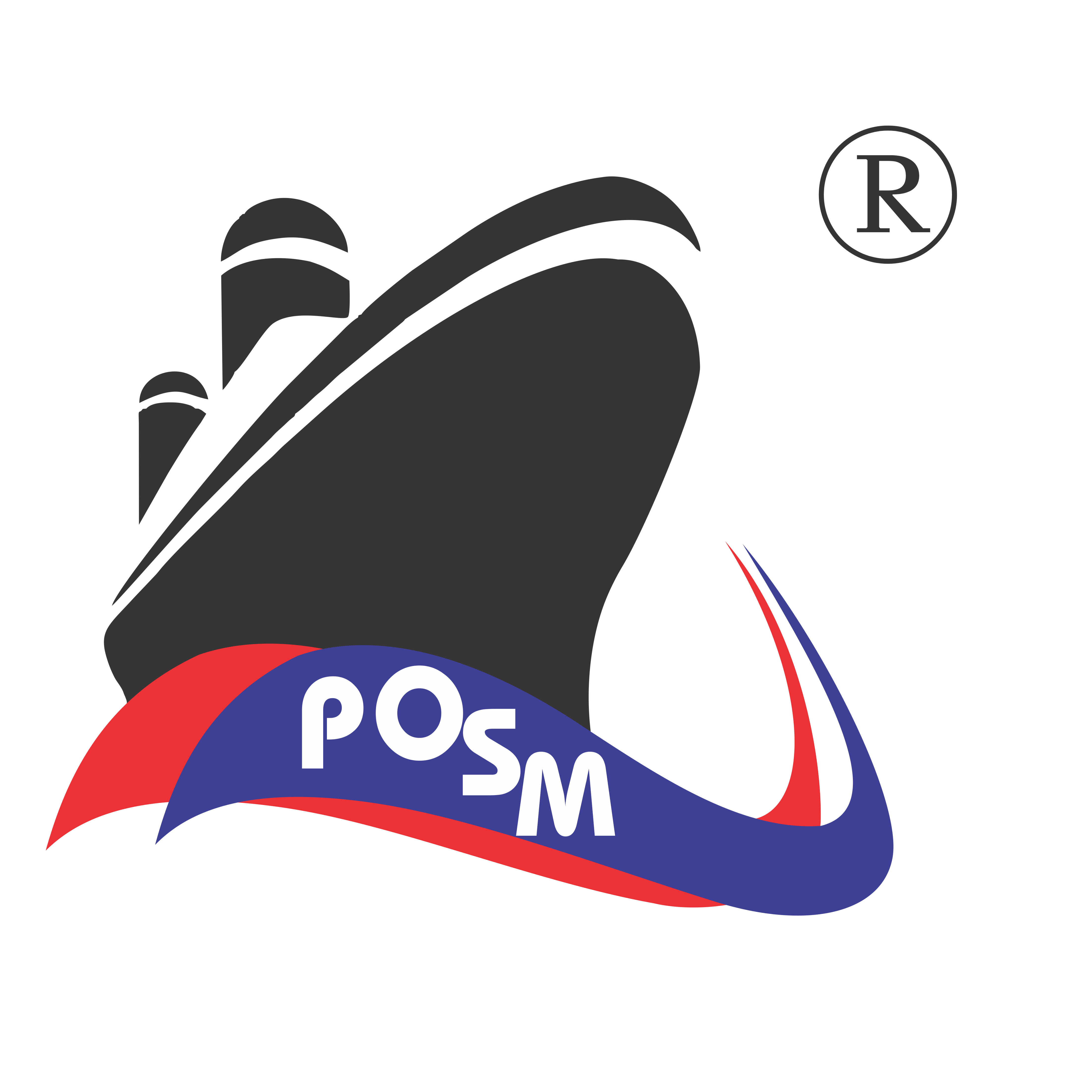 Patrick Ocean Ship Management Private Limited. logo